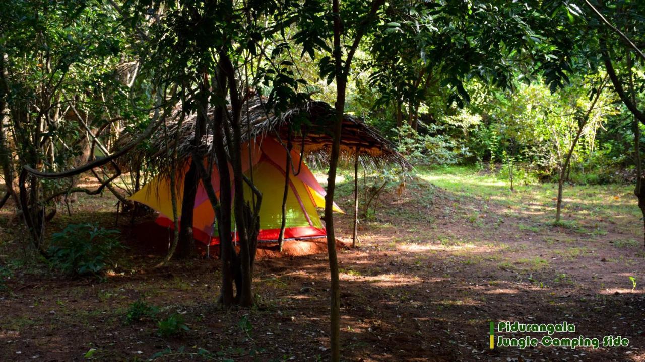 Sigiri Jungle Camping Hotel Sigiriya Luaran gambar